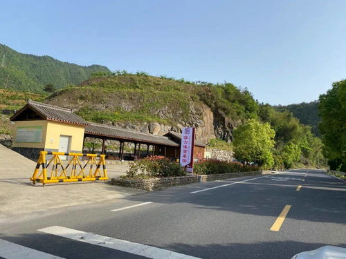 2021年千旅集团首场 周游千岛湖 系列活动完美结束,一起来看看火热的活动现场吧