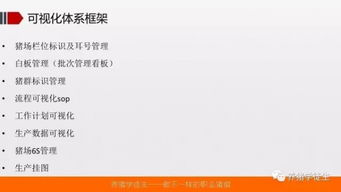 养猪技术吧 可视化体系建立